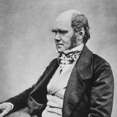 Portrait of Darwin